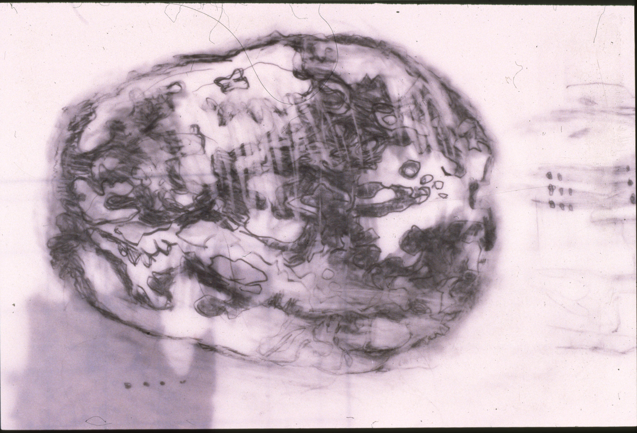 Mapping of Memories Series No. 1, graphite on Mylar, 9 x 12 inches, 2001